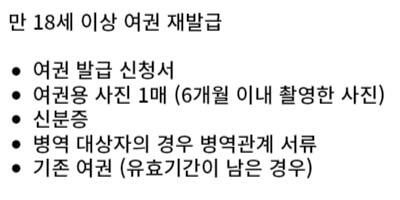 여권 재발급 신청