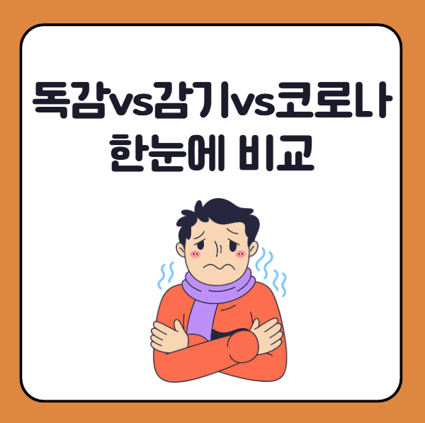 독감vs감기vs코로나19 차이 한눈에 비교! 셀프 체크해보세요