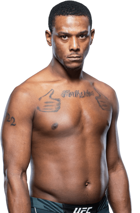 UFC 300 힐