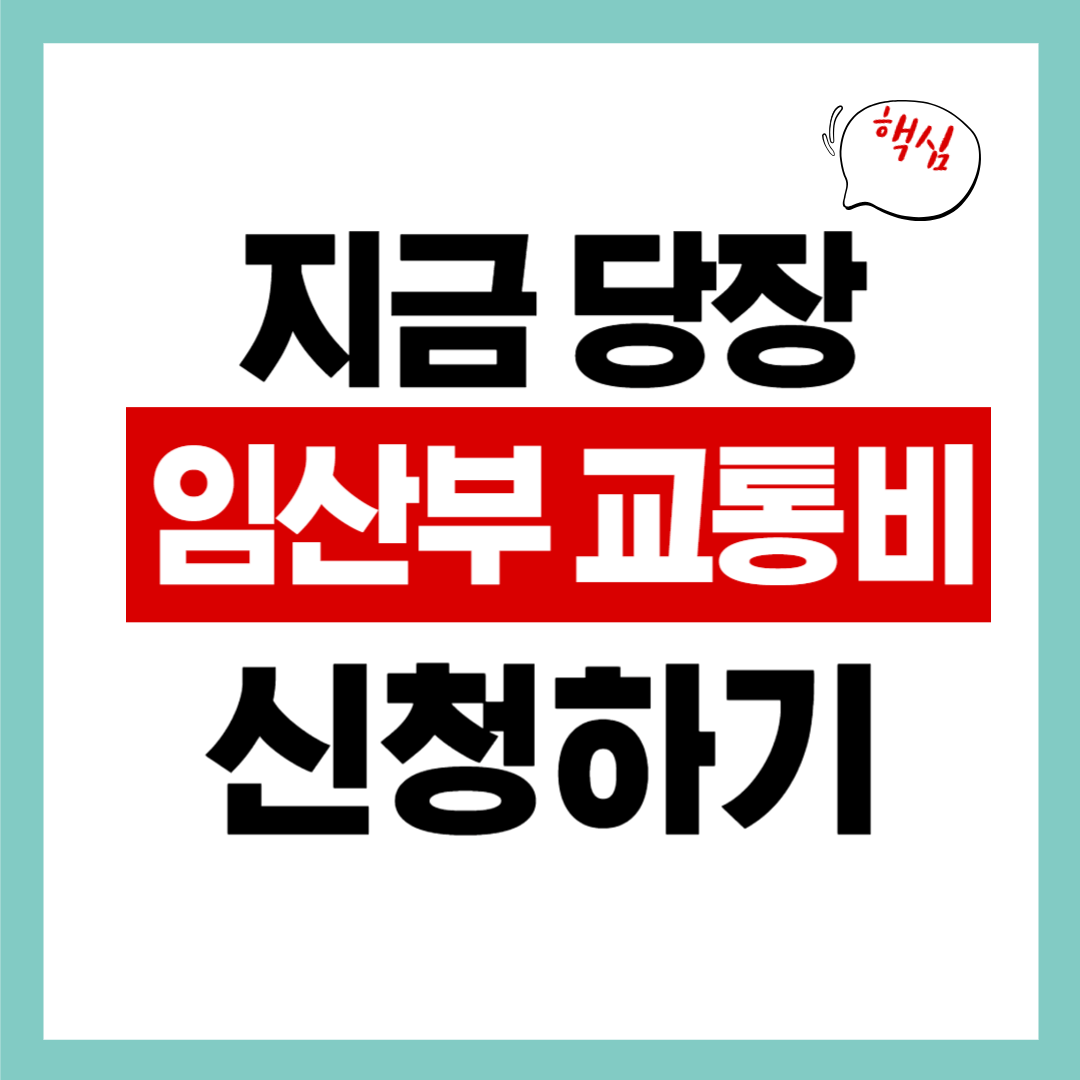 임산부 교통비 신청 방법! 온라인,주민센터 신청 이렇게 하자