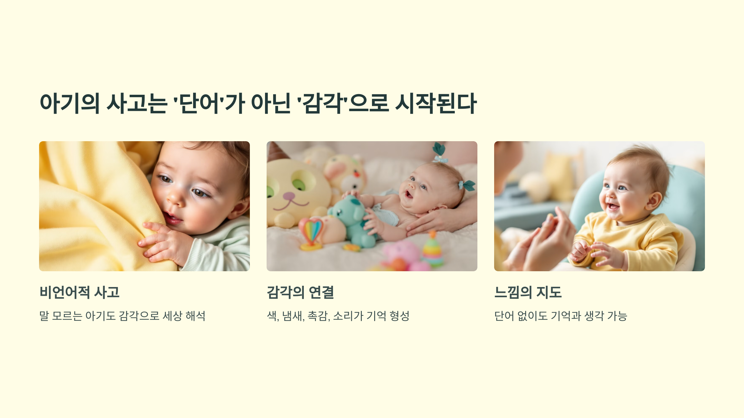 아기의 사고는 '단어' 가 아닌 '감각' 으로 시작된다