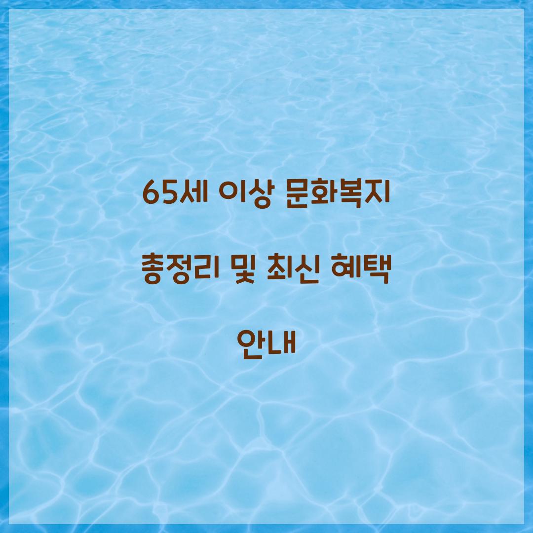 65세 이상 문화복지