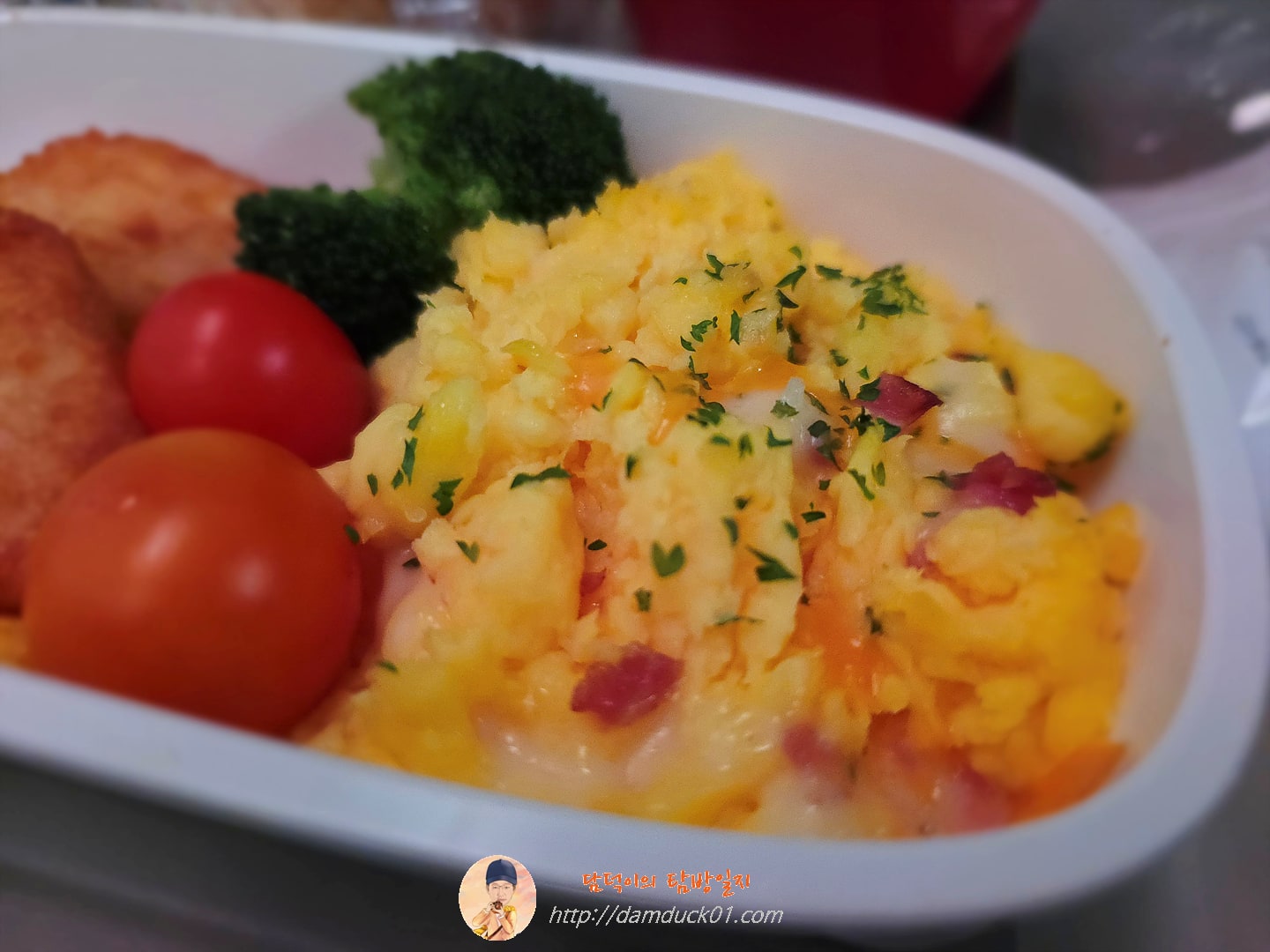 아시아나항공 기내식