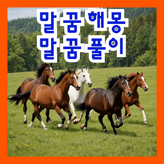 말 꿈 해몽 말 꿈 풀이