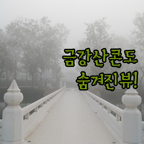 금강산콘도.. 올드 감성? 숨겨진 마