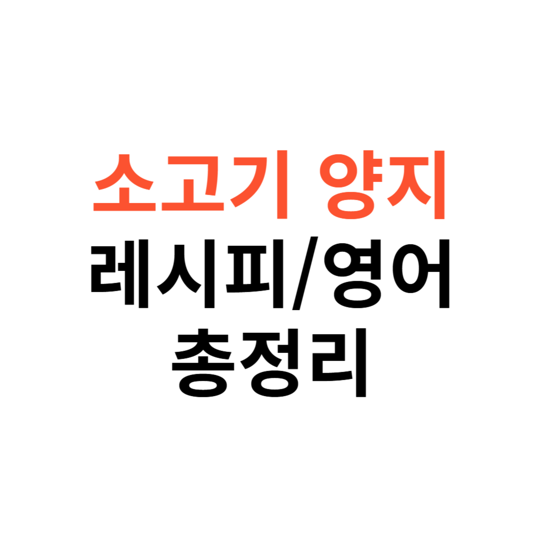 소고기 양지