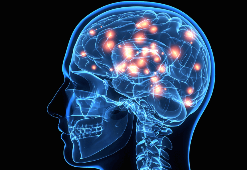 포스파티딜 세린 효능