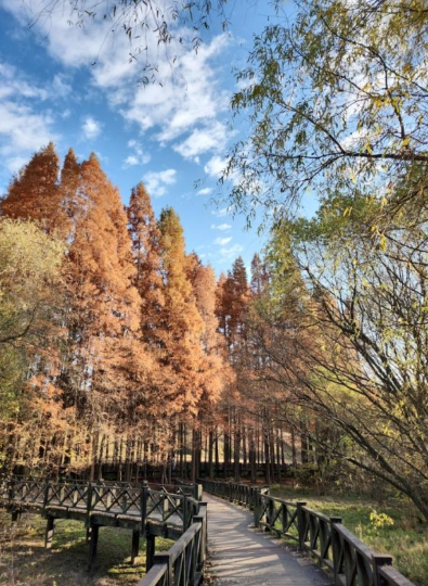 1월 전라도 광주 가볼만한곳 추천 ❘ 국내 겨울 여행지 ❘ 데이트 가족 당일치기 여행