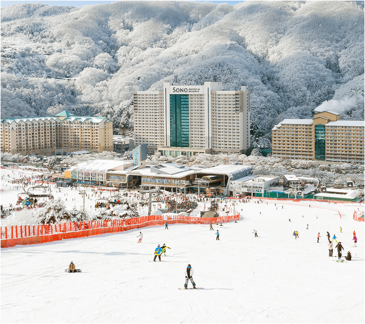 2025 비발디파크 겨울 특가! 스키·스노위랜드·오션월드 꿀팁 총정리