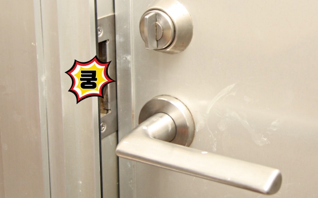 현관문 소리 줄이기, 현관문 소음, 현관문 닫힘, 문닫힘 조절, 현관문 안닫힘, 현관문 쿵, 도어락, 팁줌 매일꿀정보