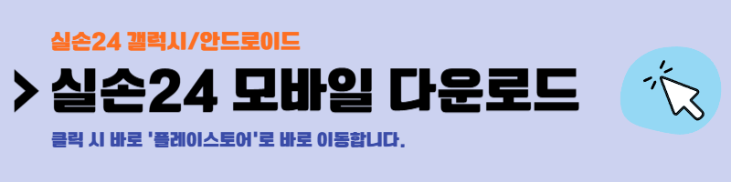 실손24