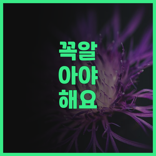 베이징루 Mercure 호텔 위치 최