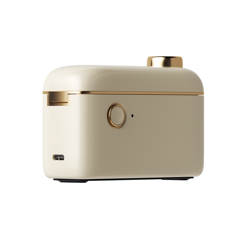 Niimbot One time H1S