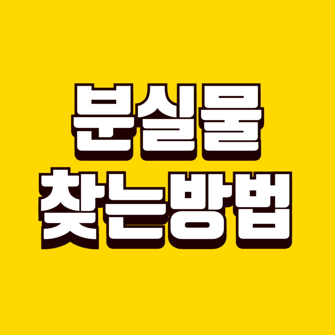 분실물 찾는 방법, 공공 시스템 활용