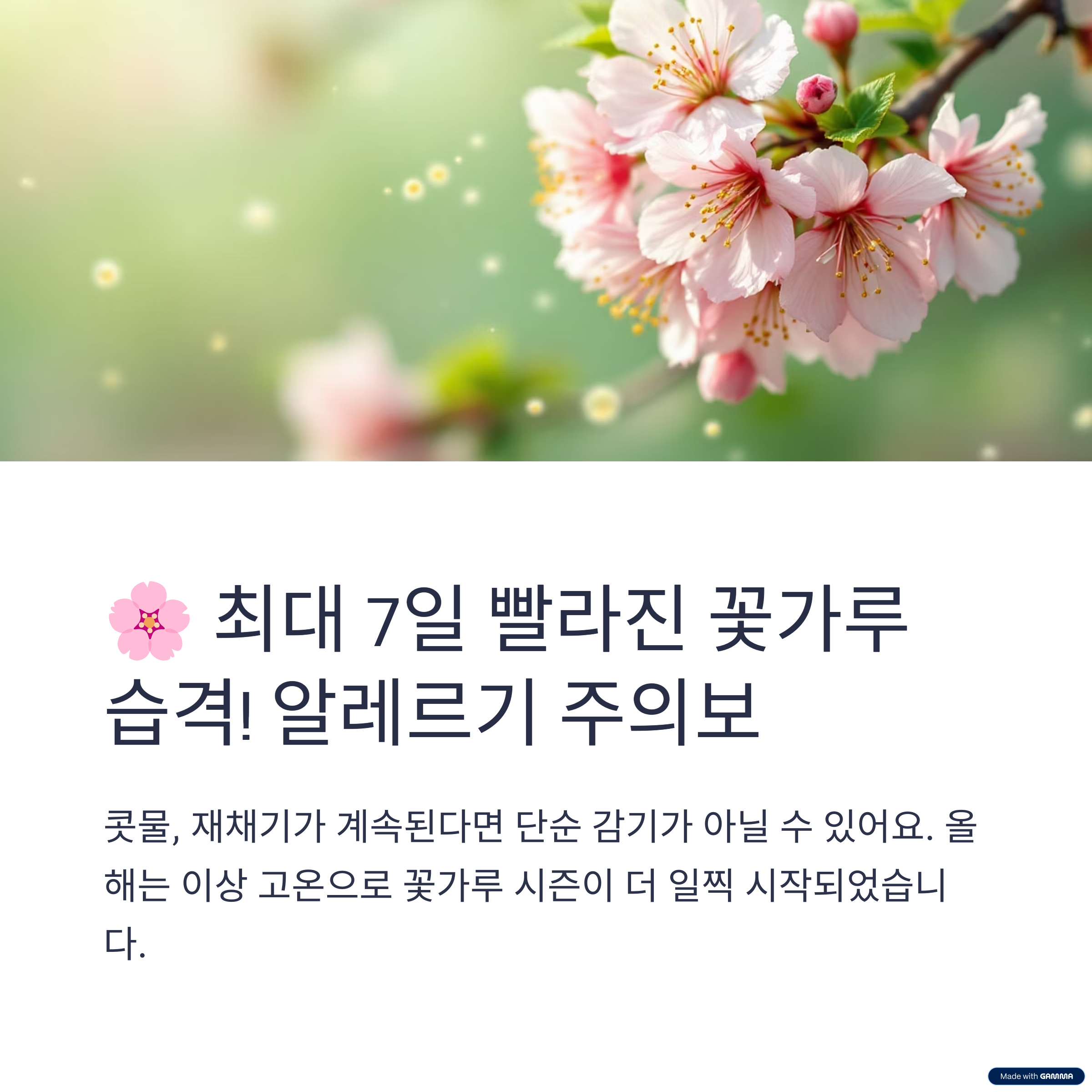 🌸최대 7일 빨라진 꽃가루 습격! 알레르기