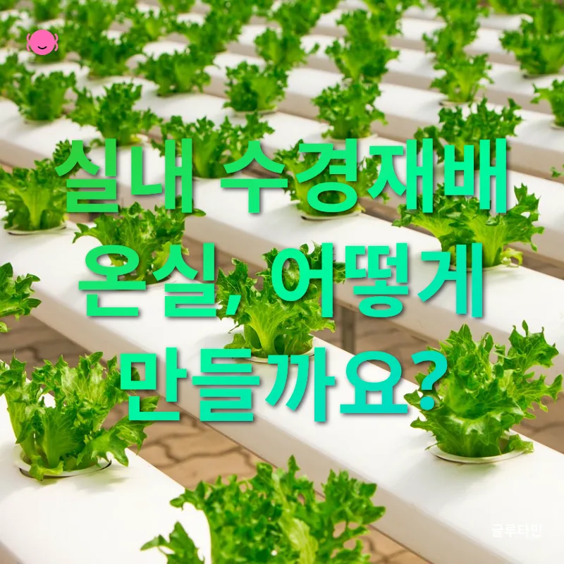 실내 수경재배 온실_2
