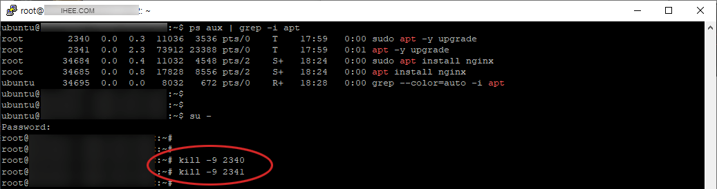 Ubuntu process kill