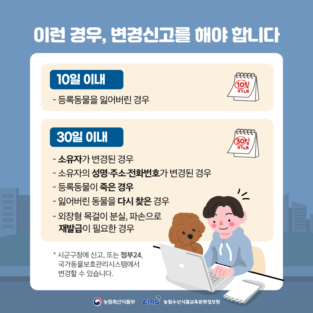 반려동물 등록 비용 내장칩vs외장칩 신청방법