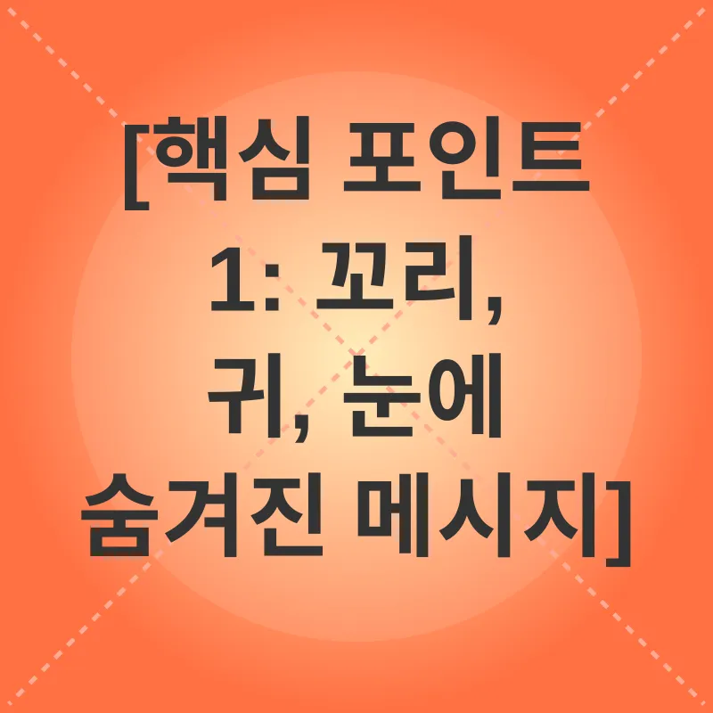 고양이 의사소통_3