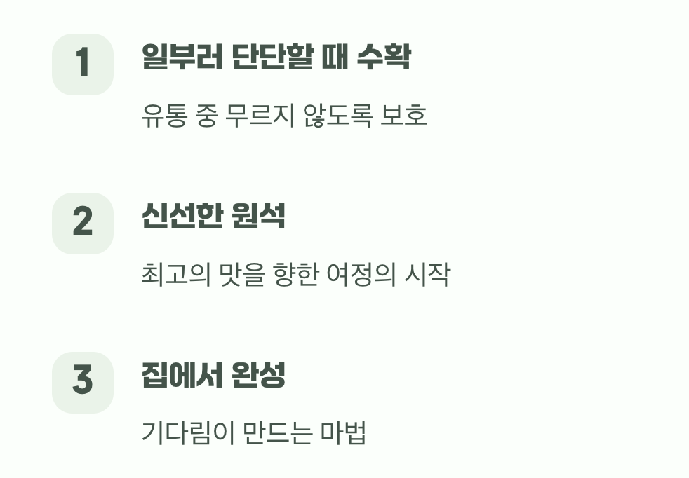 단단함에 실망하셨나요? 그건 아직 시작도 안 한 거예요