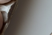 40대 여성 필수 영양제