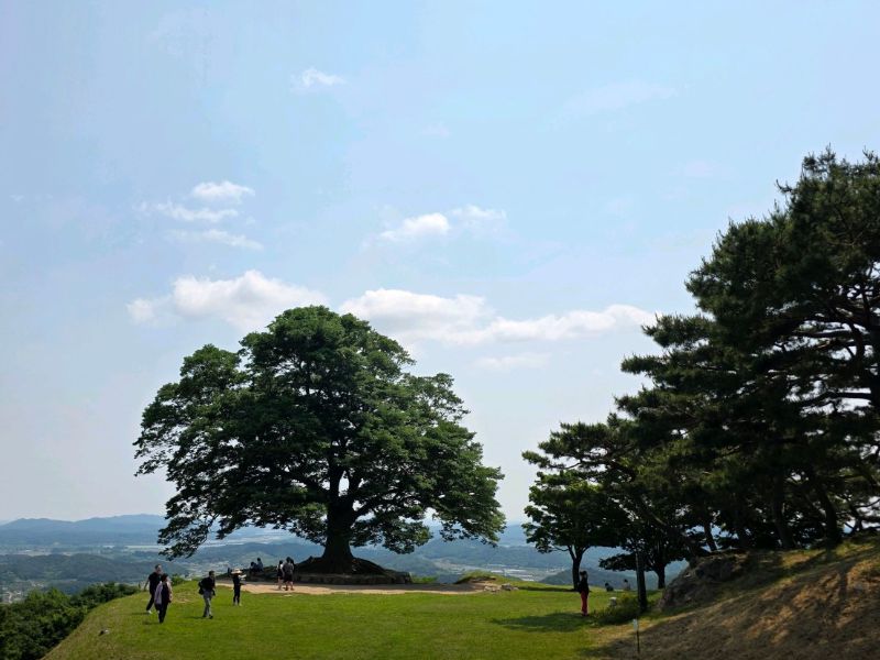 부여 성흥산성