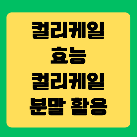 컬리케일(곱슬케일) 효능과 컬리케일분말 활용 가이드
