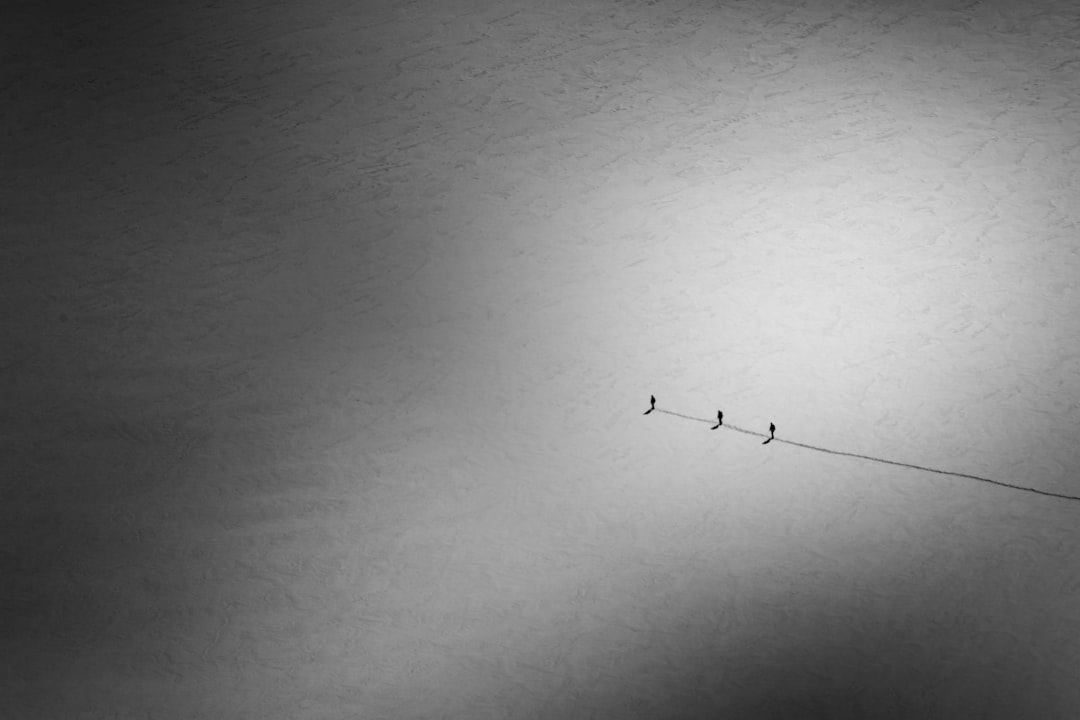 신뢰 (Trust)