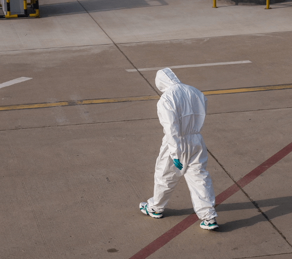 니파 바이러스란?