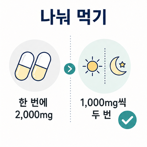 비타민C 나눠 먹기 비교, 한 번에 몰아 먹는 방식과 아침저녁 1,000mg씩 나누는 방식을 대비한 그림