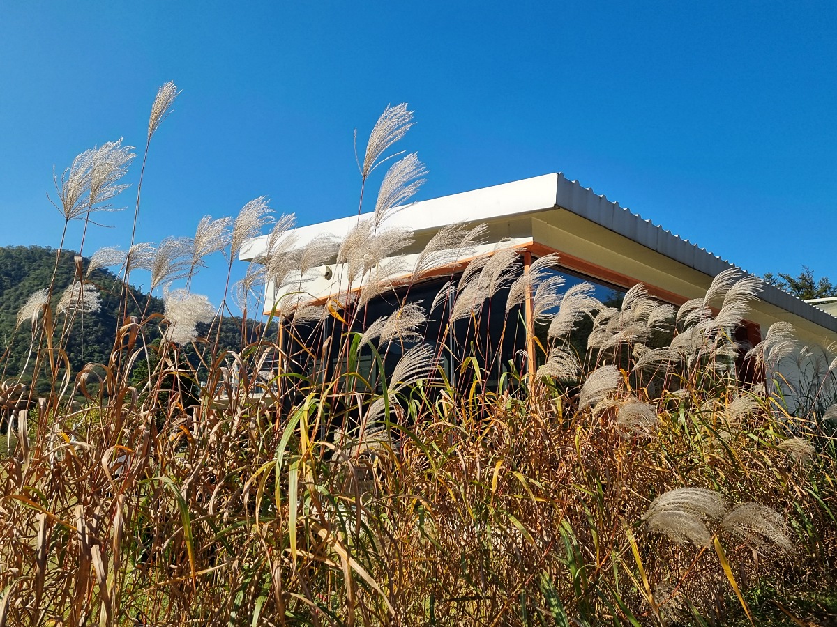 강원도 원주 가볼만한 곳&amp;#44; 블루리본 스톤크릭 카페: 수묵화 속 절벽&amp;#44; 로스팅 커피&amp;#44; 할인 정보