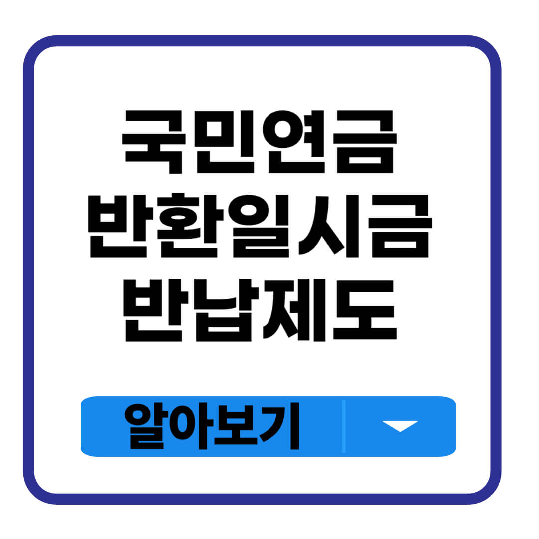 국민연금 반환일시금 반납제도