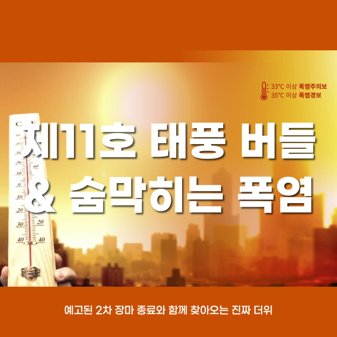 제11호_태풍_버들_대한민국_폭염