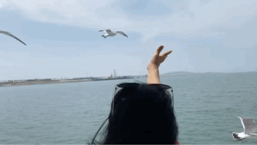 갈매기 새우깡