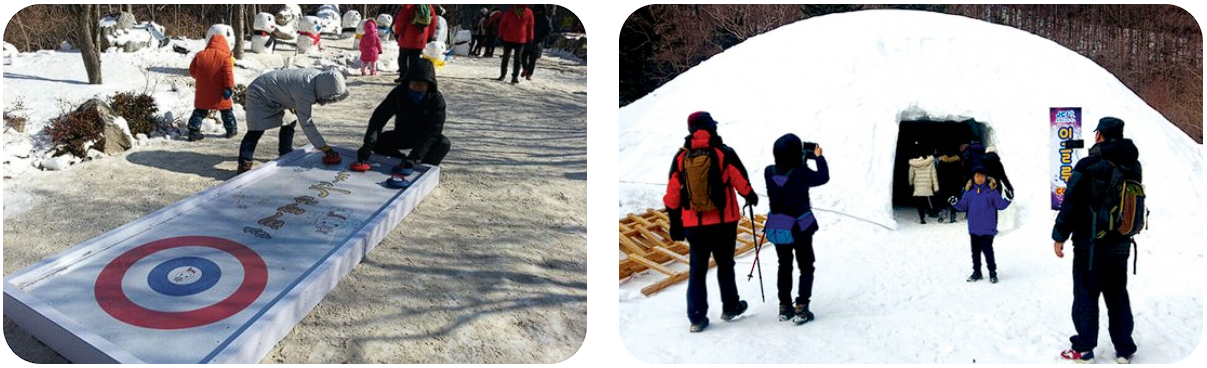 태백산 눈꽃축제 열차 일정 예약