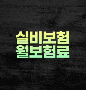 실비보험 월보험료