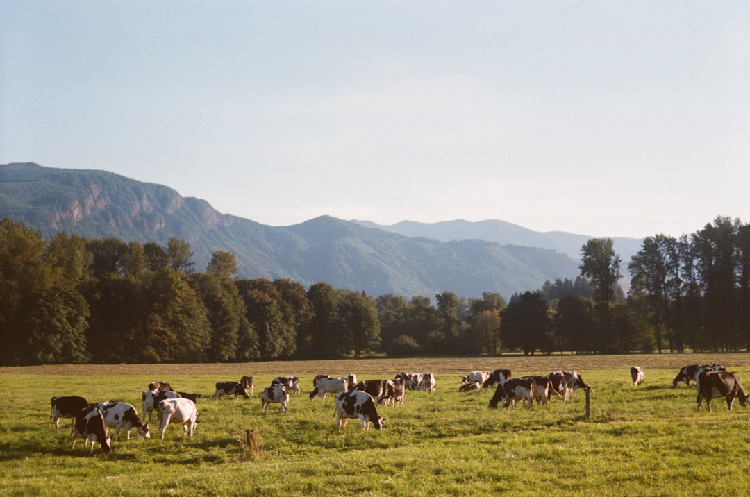 Agricultural land
