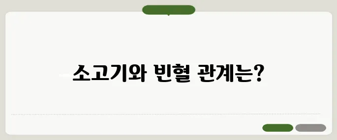 소고기 효능 철분이 많아서 빈혈 예방에 좋을까