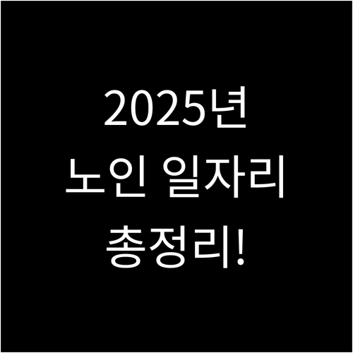 2025년 노인 일자리 완벽 가이드:..
