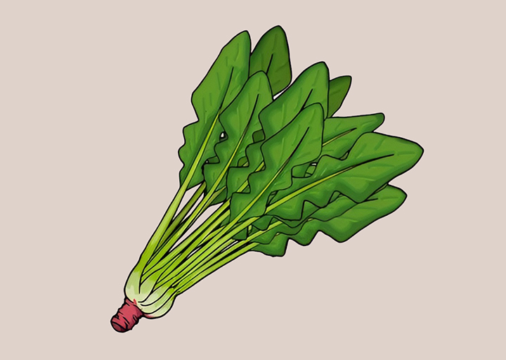 잘-다듬은-시금치