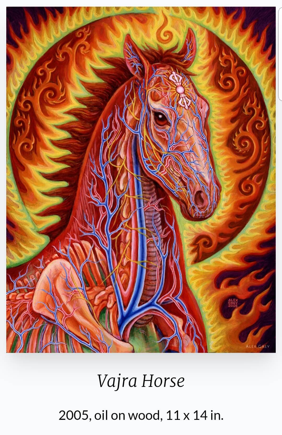 Alex Grey(1953 ~ ) 작품
'Vajra Horse'