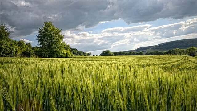 2025 공익직불제 농업인 의무교육 가이드