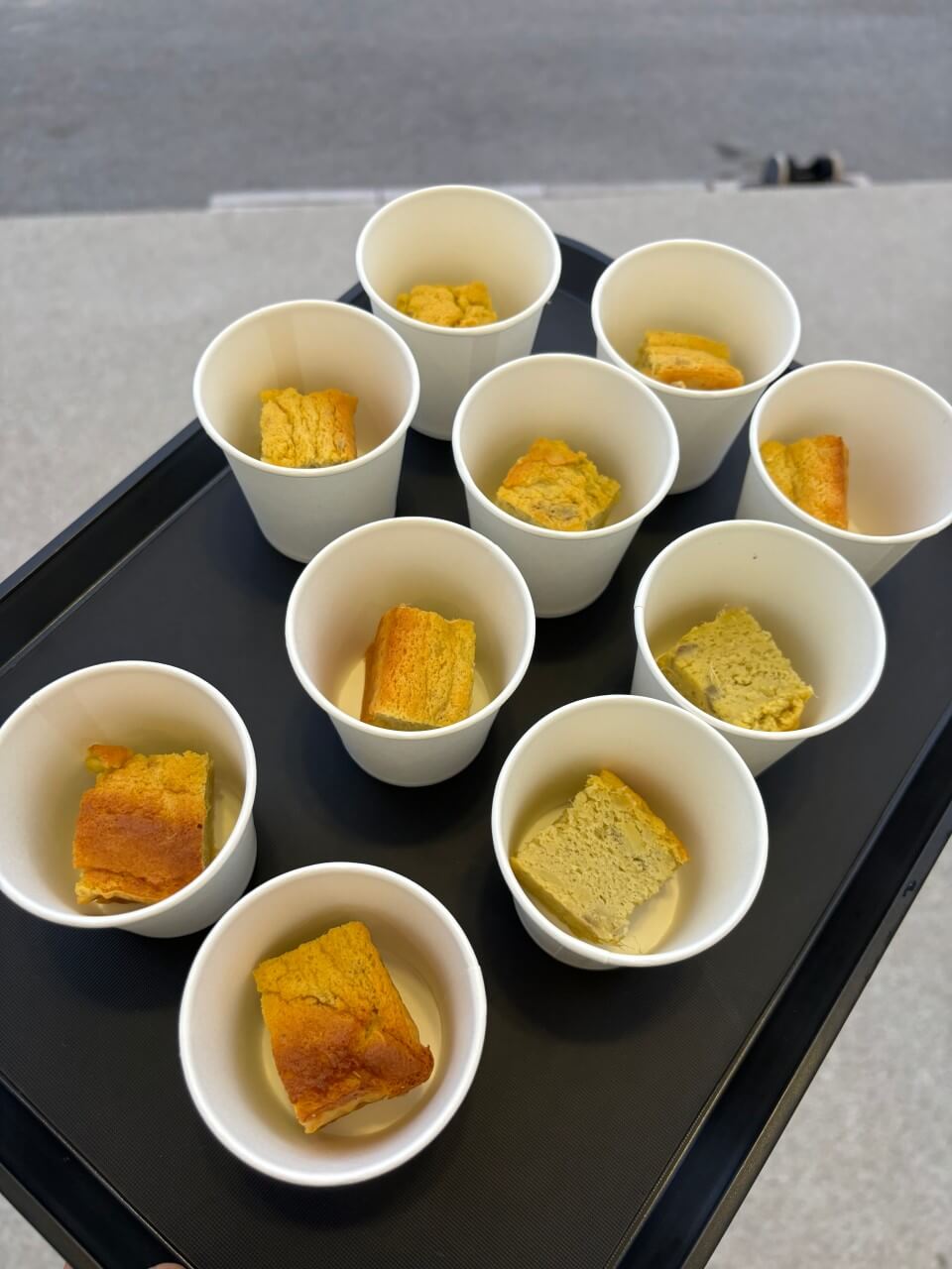 생방송투데이 오늘도 달린다! 청년 사장 경기 포천 20대 애견 카페 사장 편 뽀야네 딩가댕가 생방송투데이 3779회