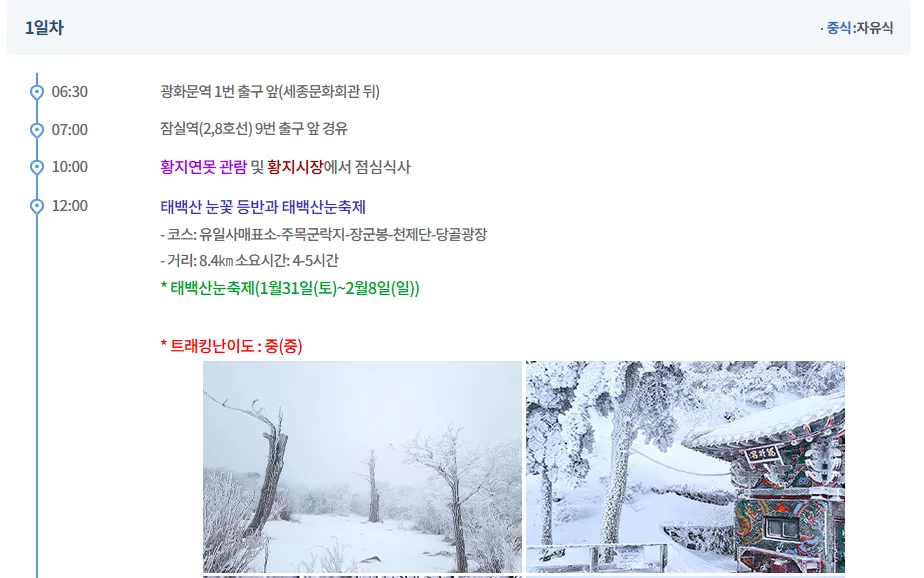 강원도 택백산 여행자클럽 버스 투어