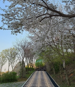 도심속휴식공원