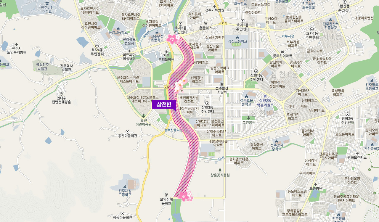 전주여행 가볼만한 곳 베스트10_ 05. 전주천 벚꽃길 & 오목대 벚꽃길 (숨은명소, 추천시간대, 주차, 벚꽃축제)