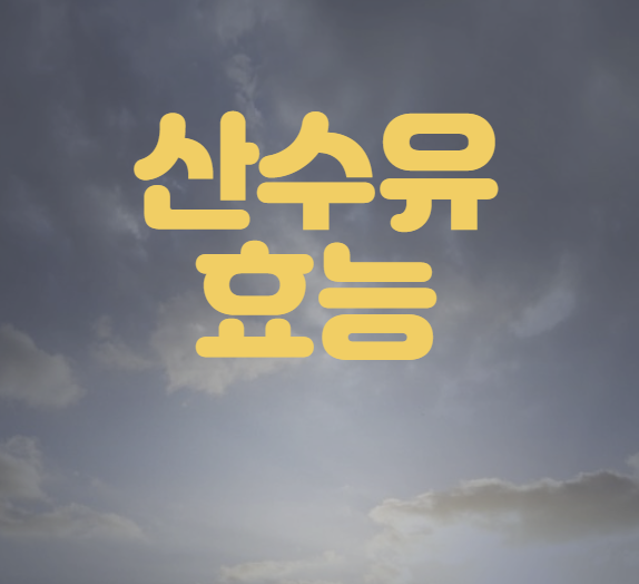 산수유 효능