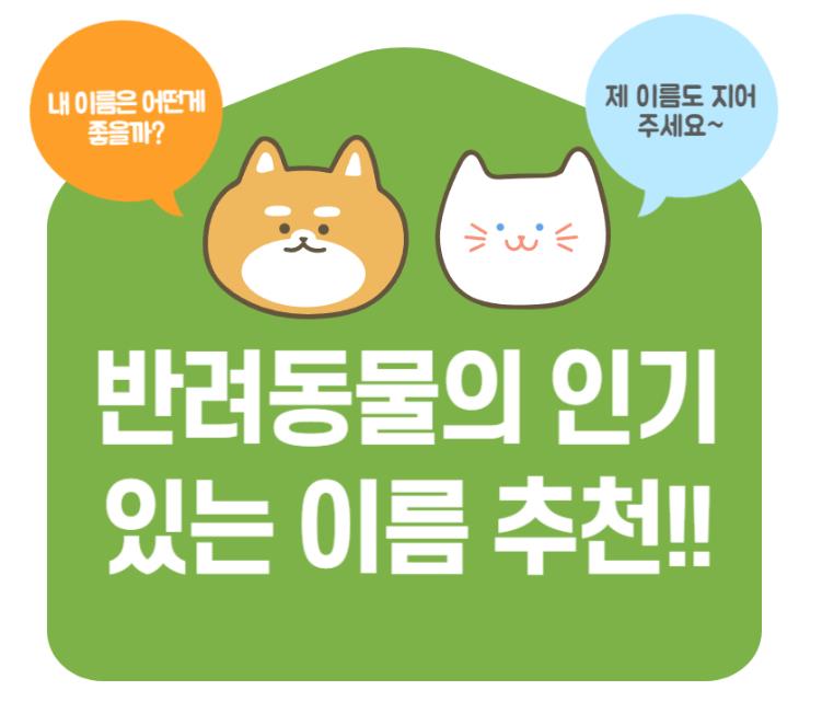 반려동물 이름