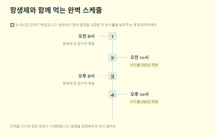항생제와 함께 먹는 완벽 스케줄