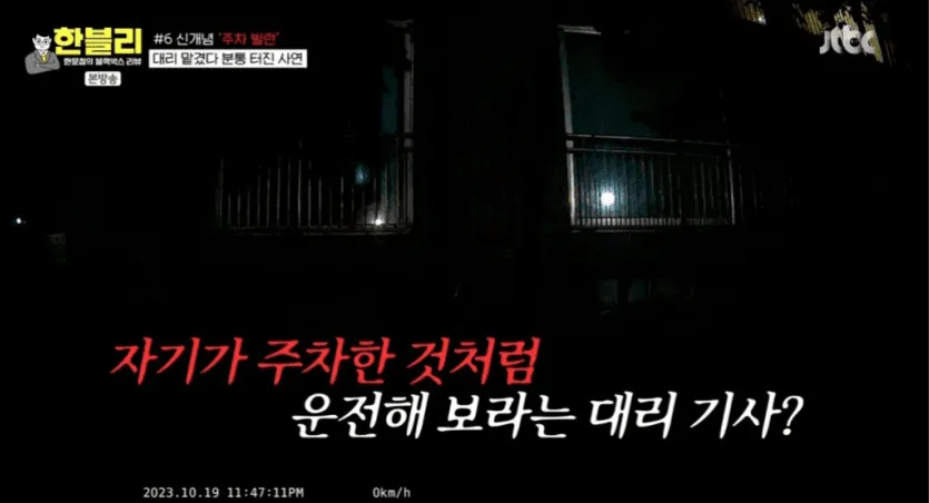 신개념 주차 빌런 대리 기사 14